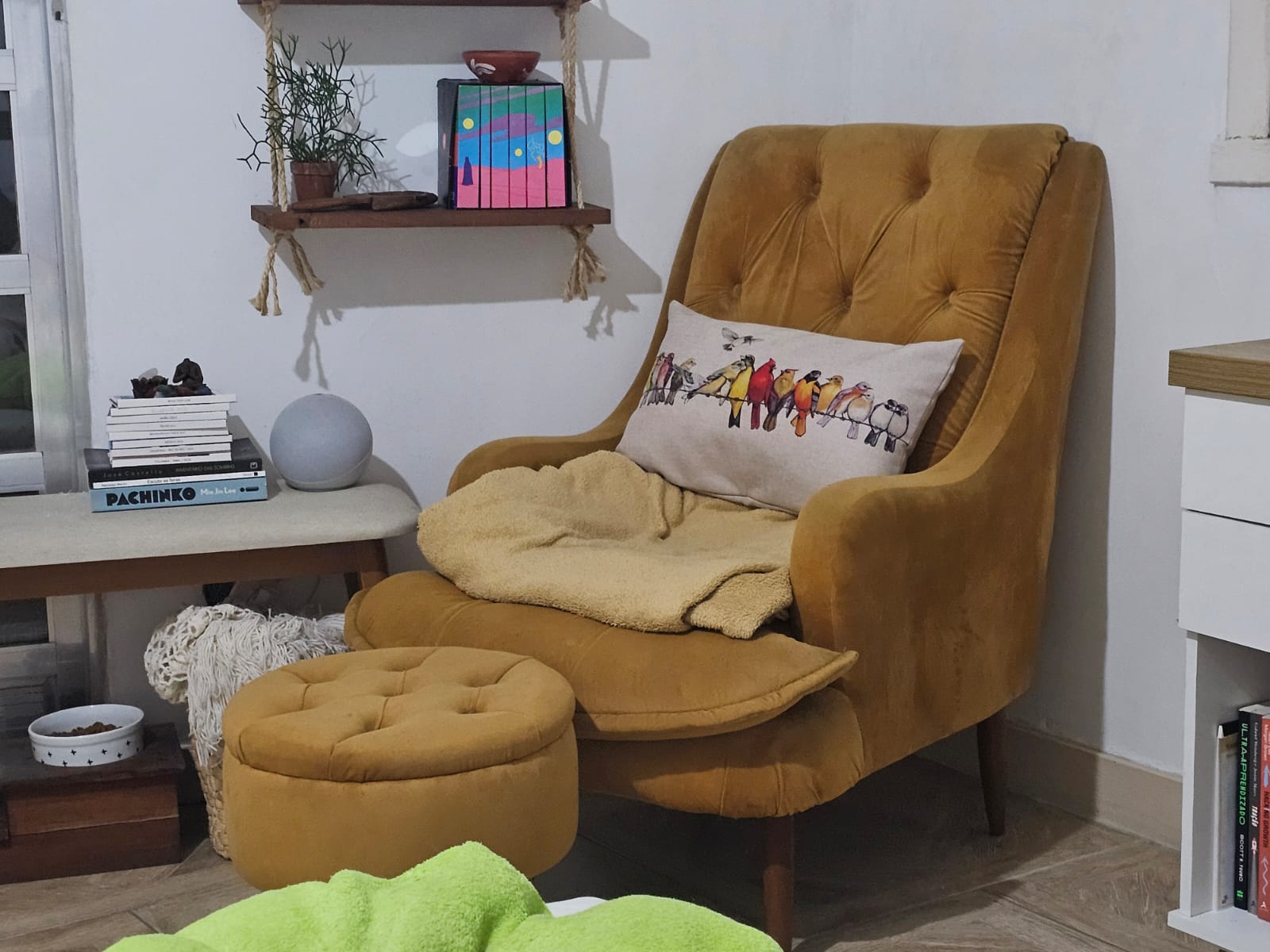 Hoje a almofada de pássaros ganhou um novo lugar